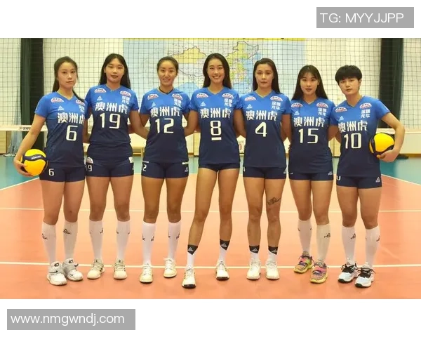 排球巨献：探秘深圳排球队的配合