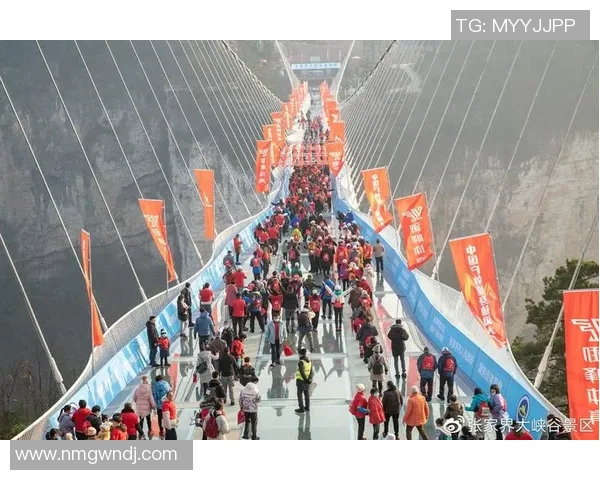 极限运动焦点：重庆极限运动队的团队协作探讨