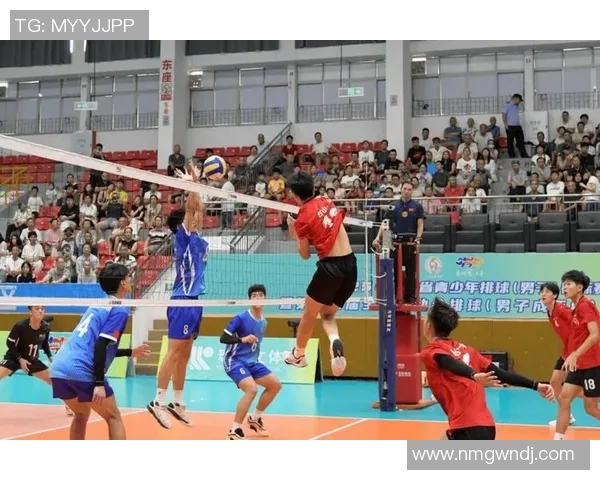 聚焦排球：南京排球队的灵活性话题